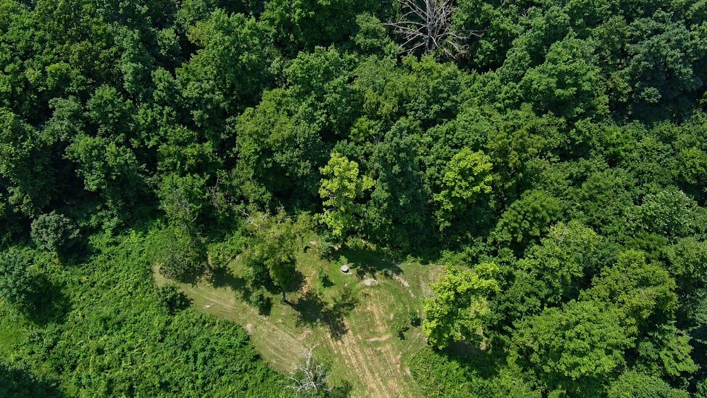 Picture 4