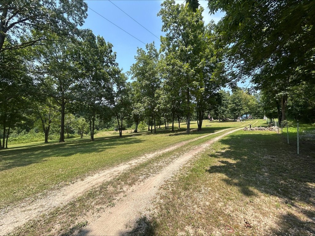 Picture 12