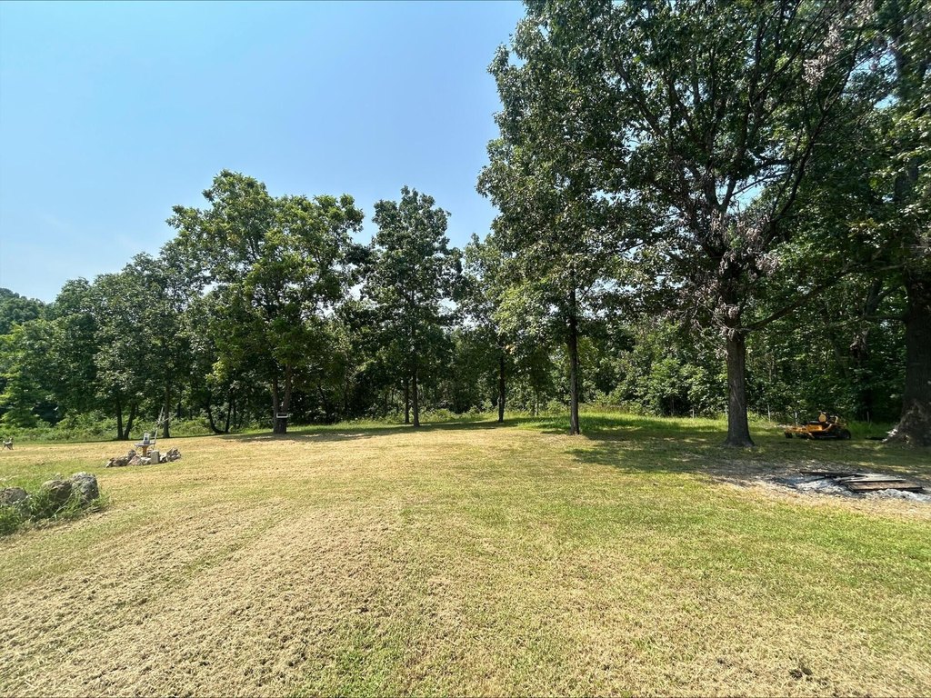 Picture 9