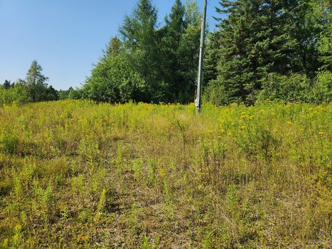 Land, Westfield, ME
