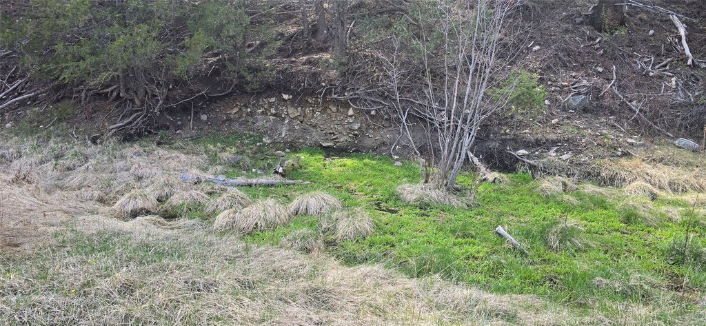 Picture 7