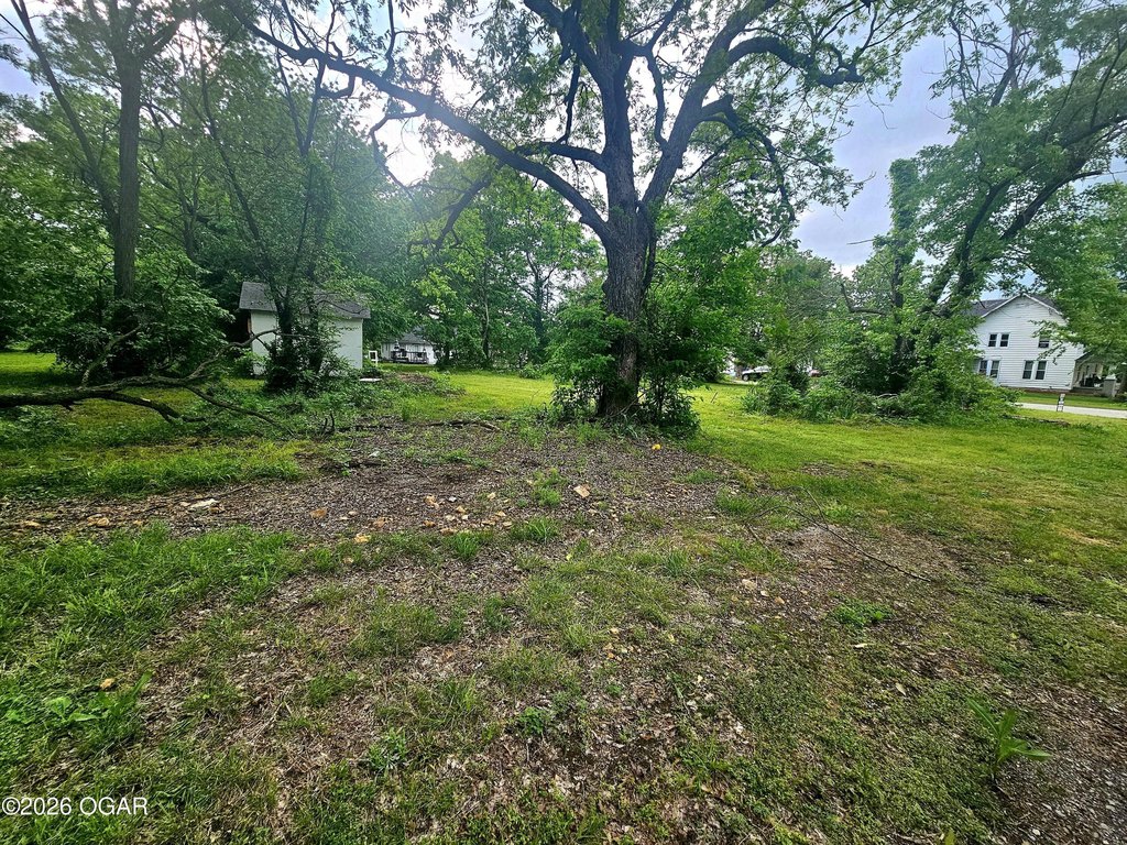 Picture 3