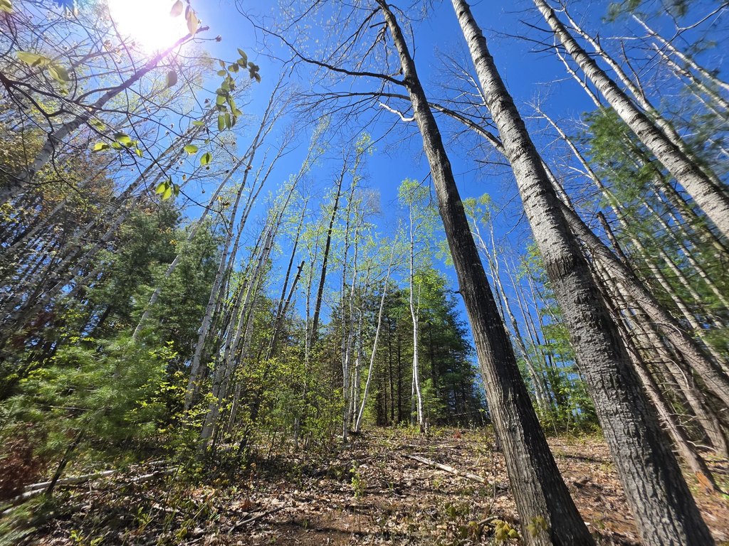 Picture 16