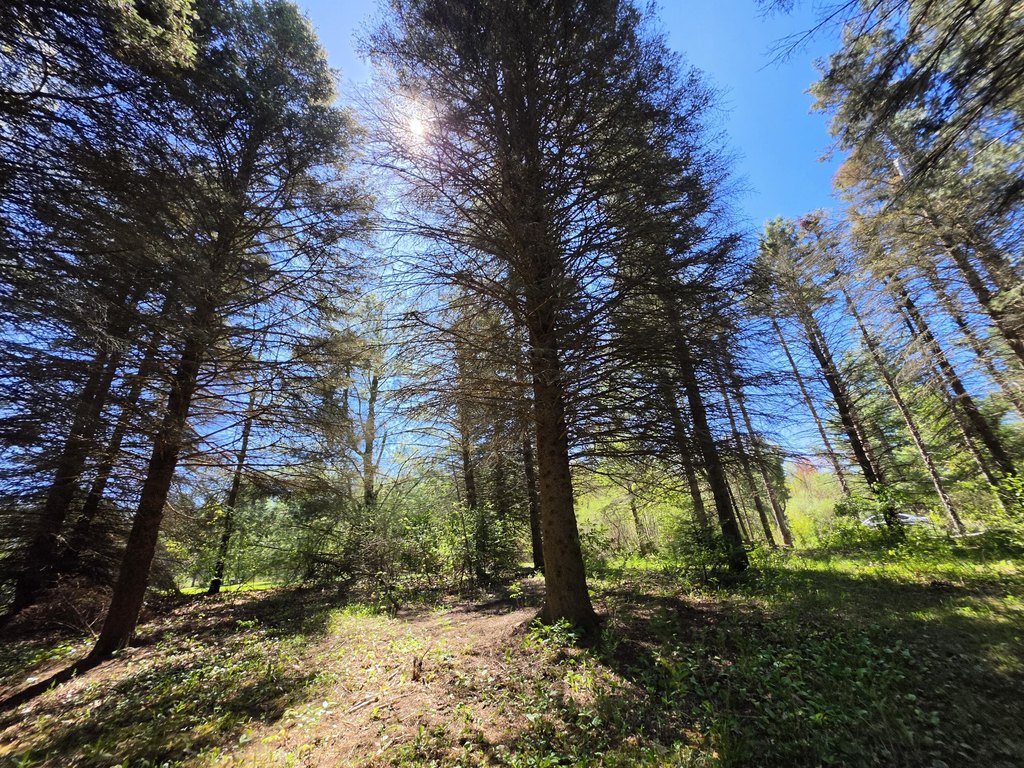 Picture 22