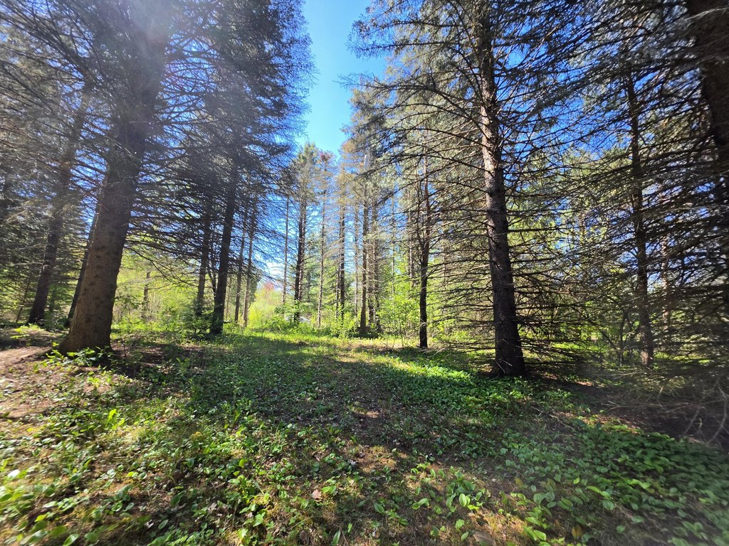 Picture 21