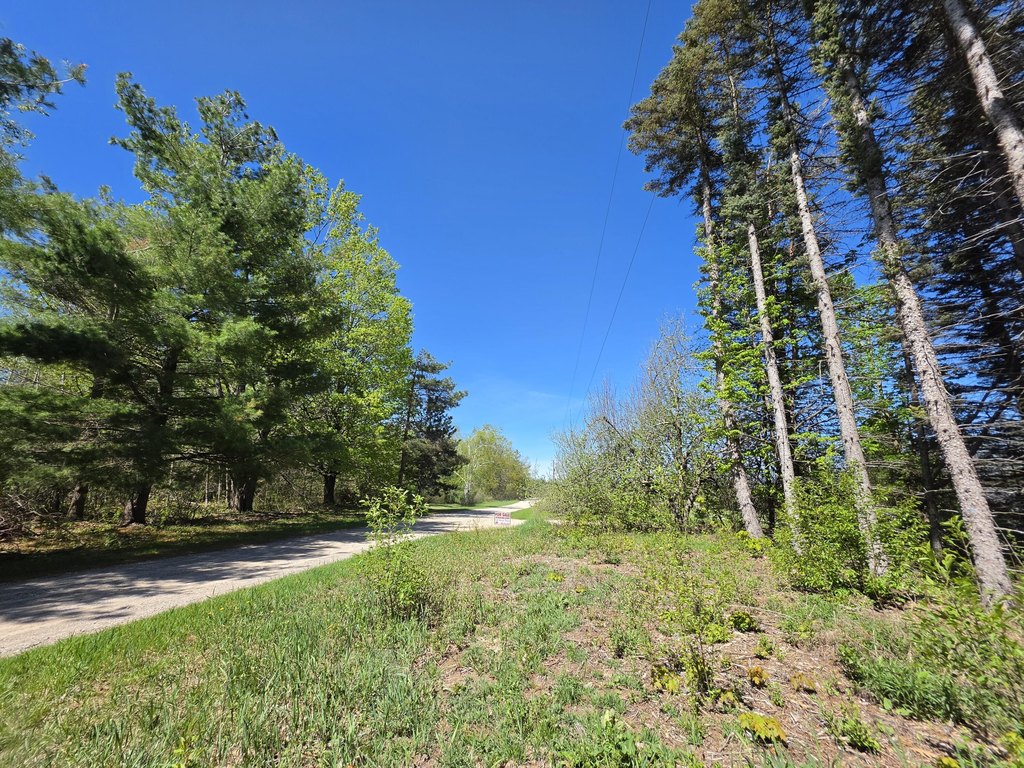 Picture 24