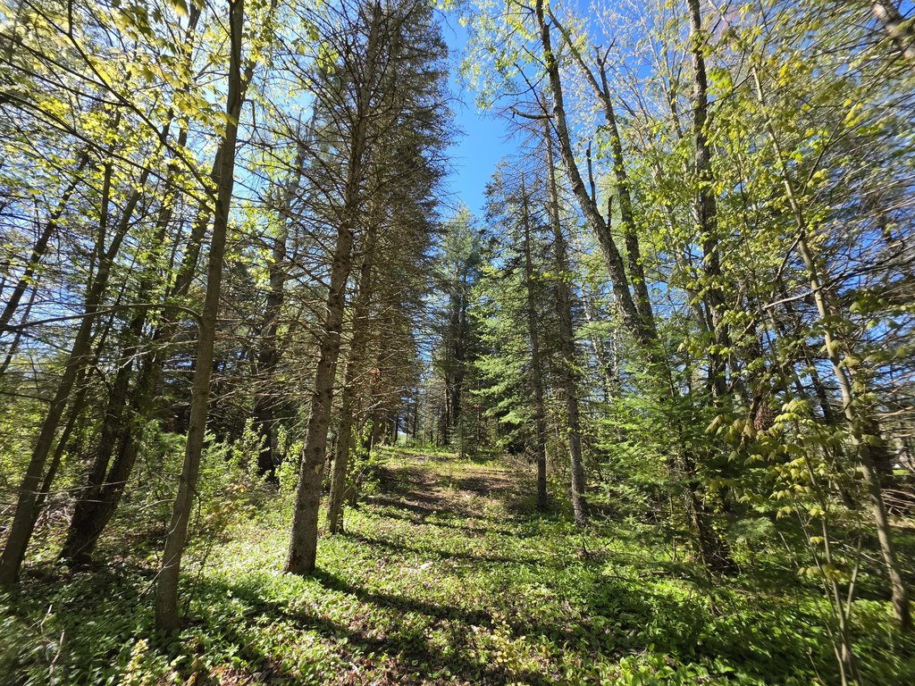 Picture 19