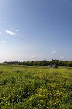 Residential Lots in Boelter Estates