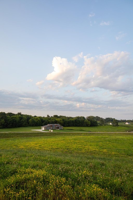 Picture 8