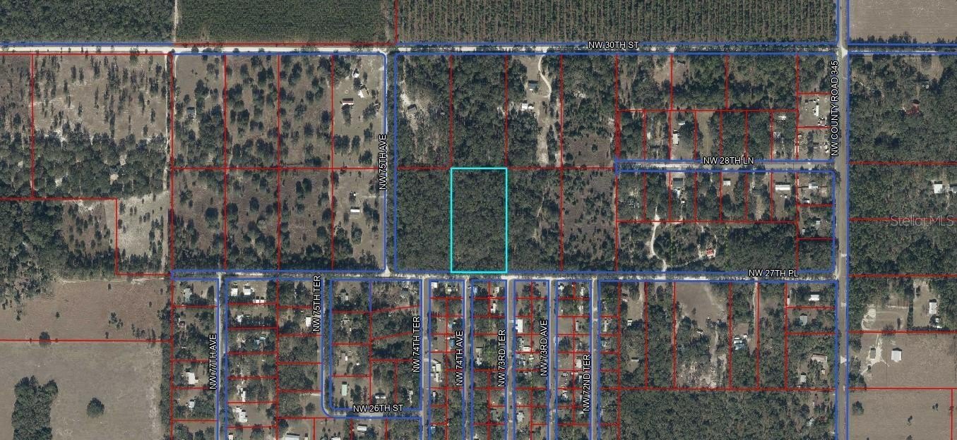 Levy County Agricultural Land Parcel
