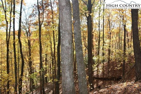Wooded Lot in Cabin Neighborhood