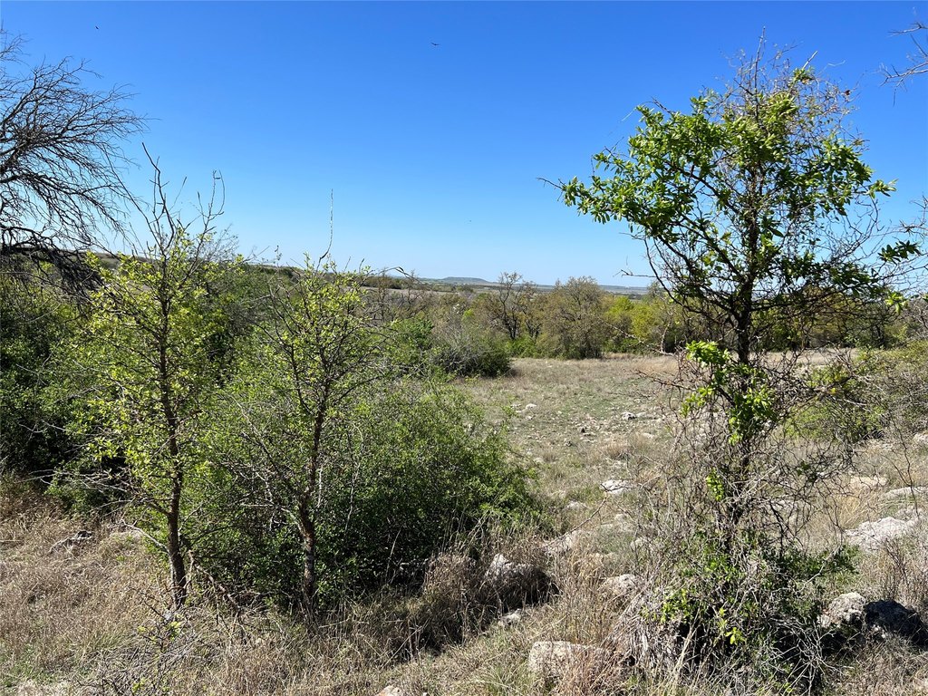 Picture 28