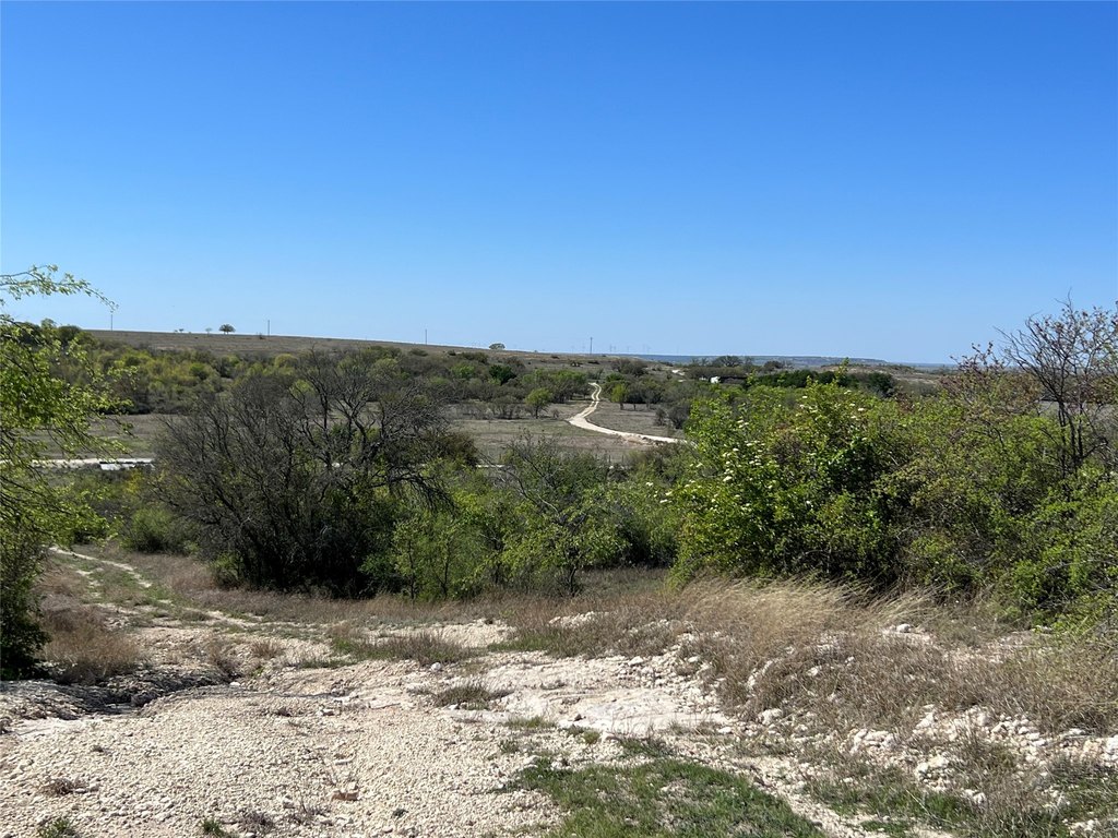 Picture 20