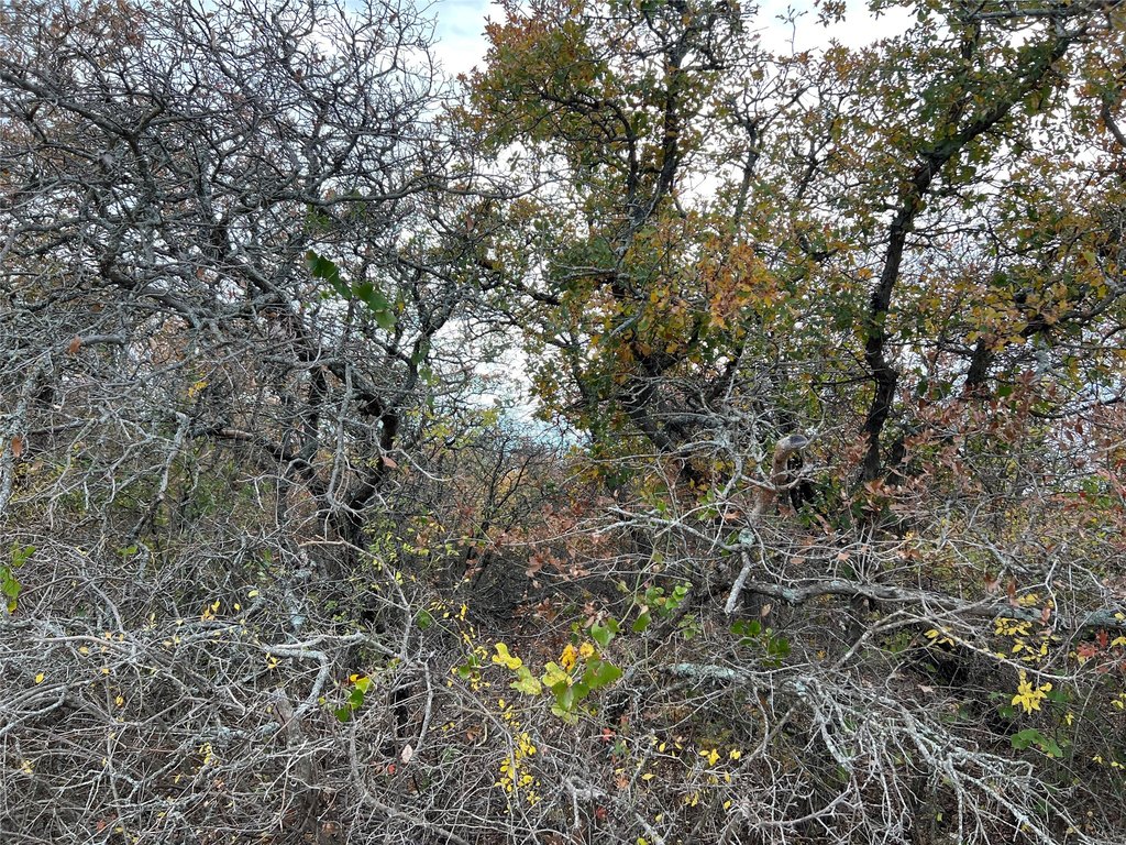 Picture 14