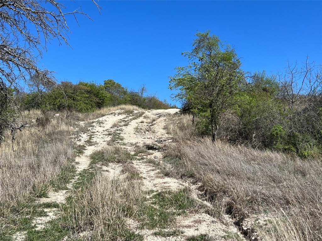 Picture 19
