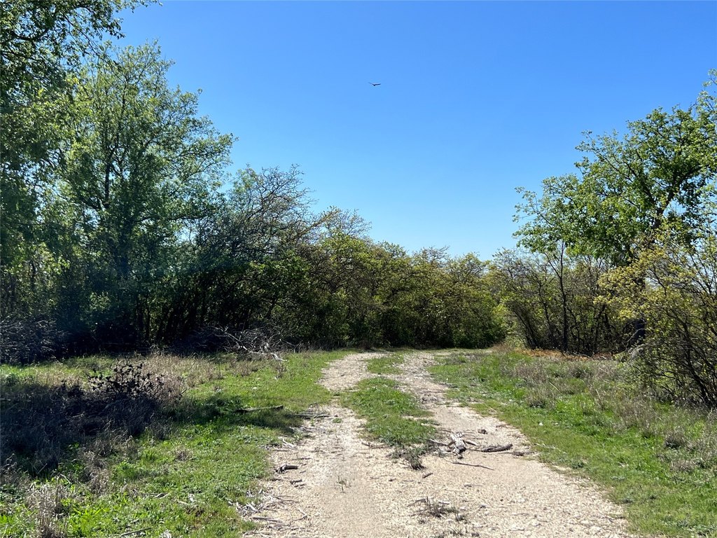 Picture 27