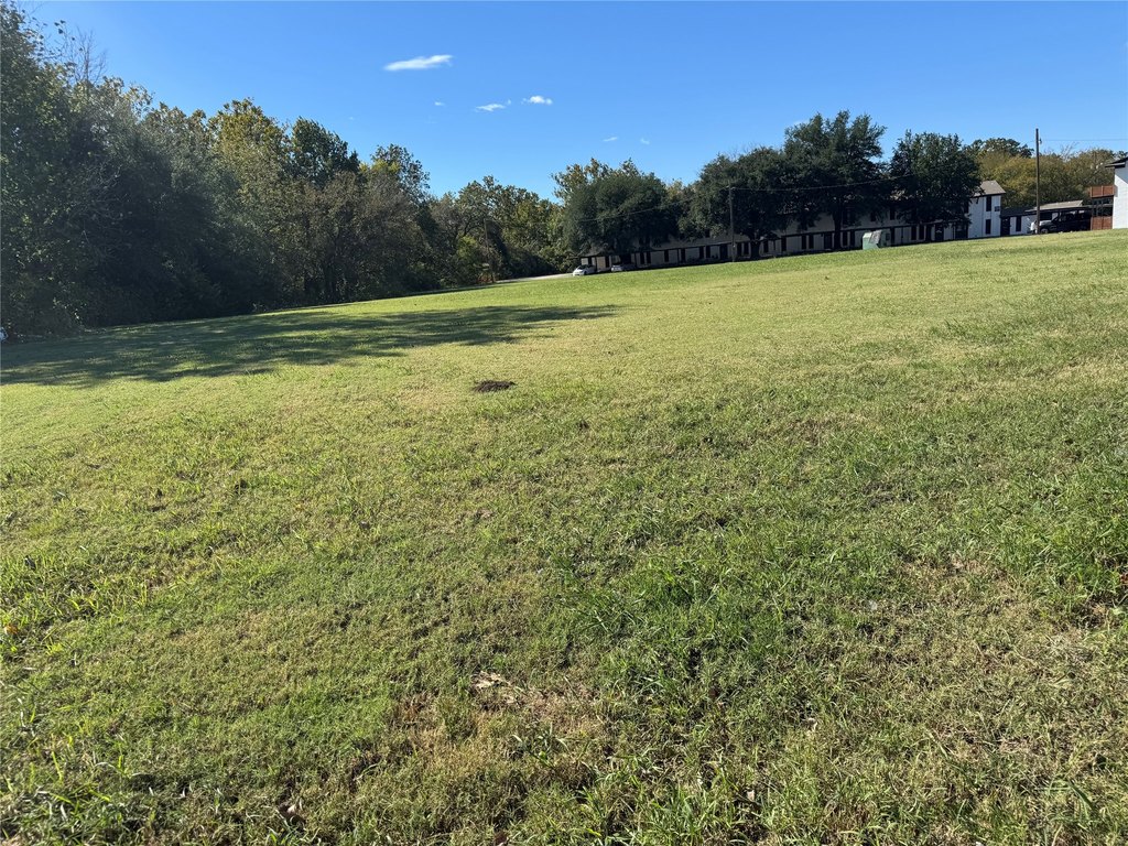 Picture 15