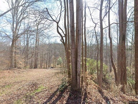 Land, Fair Play, SC
