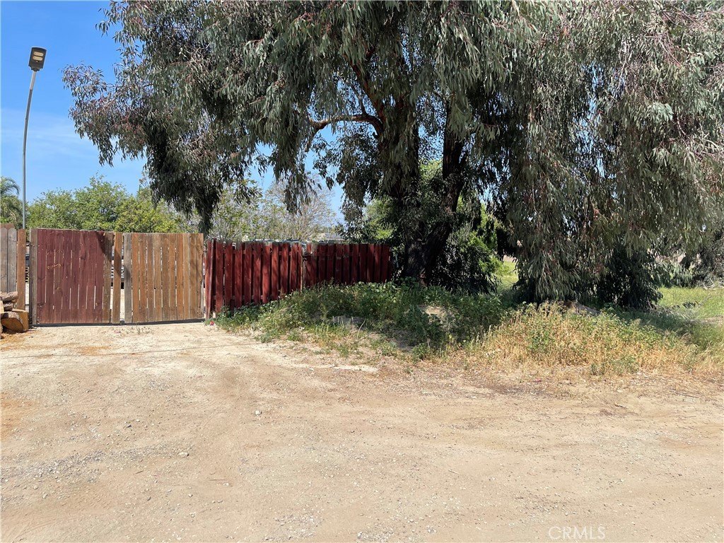 Picture 6