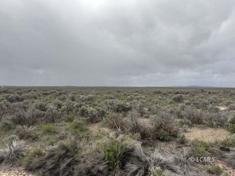 Christmas Valley Land For Sale