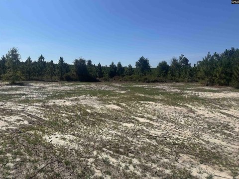 9.83 Acres of Pine Land