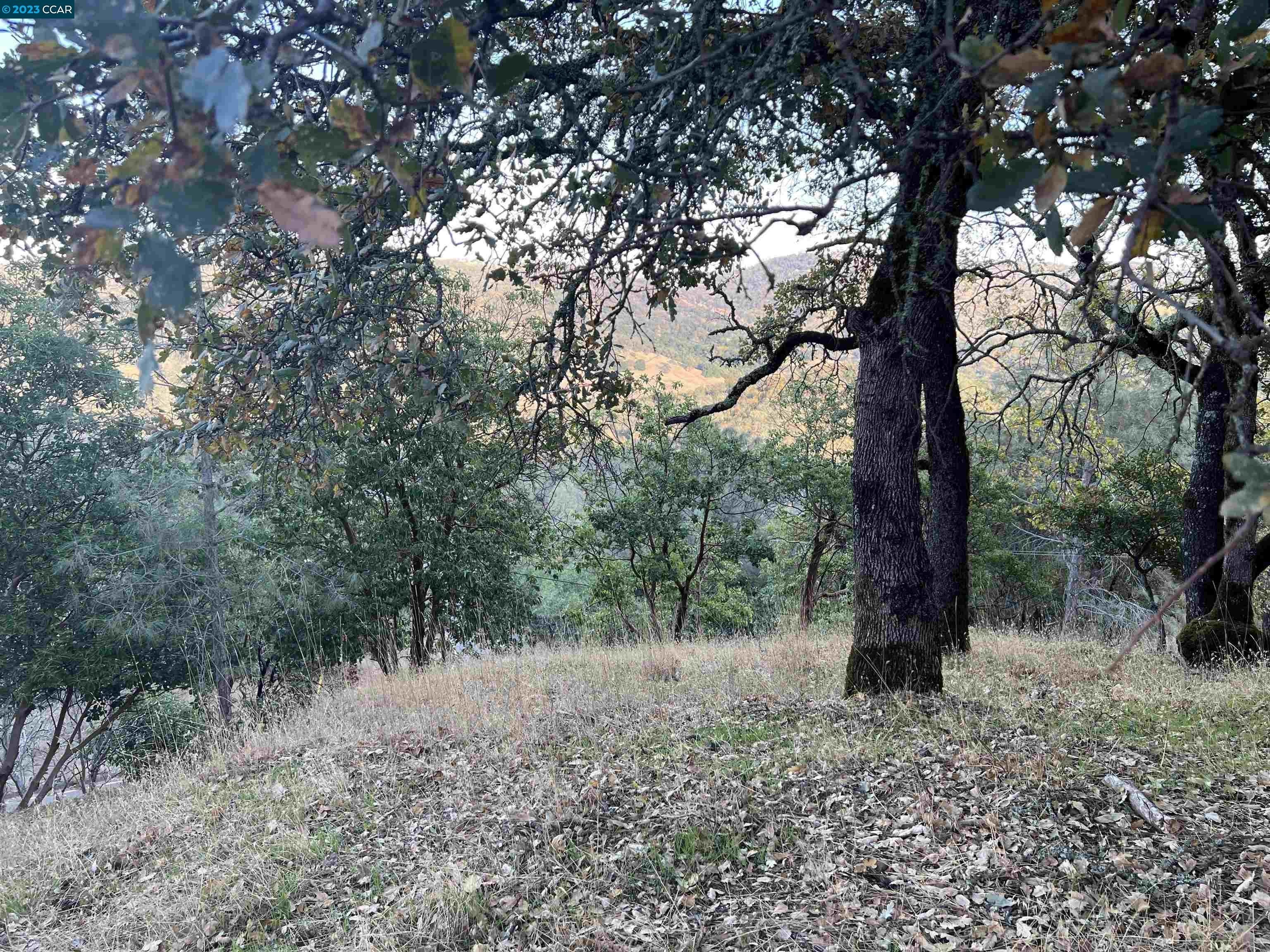 Napa Valley View Home Site