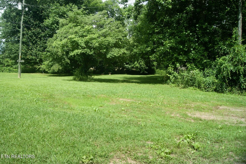 Picture 37