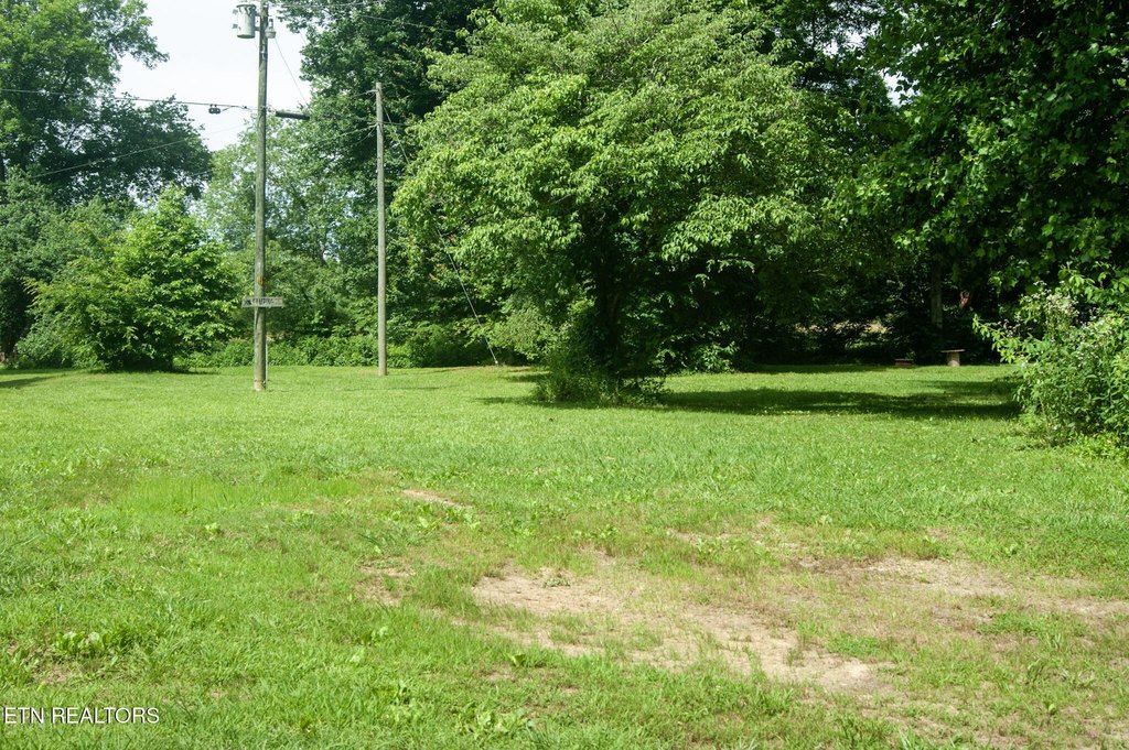 Picture 39