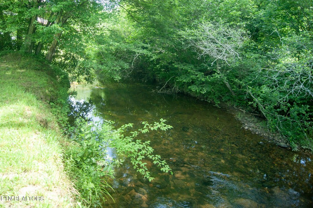 Picture 36