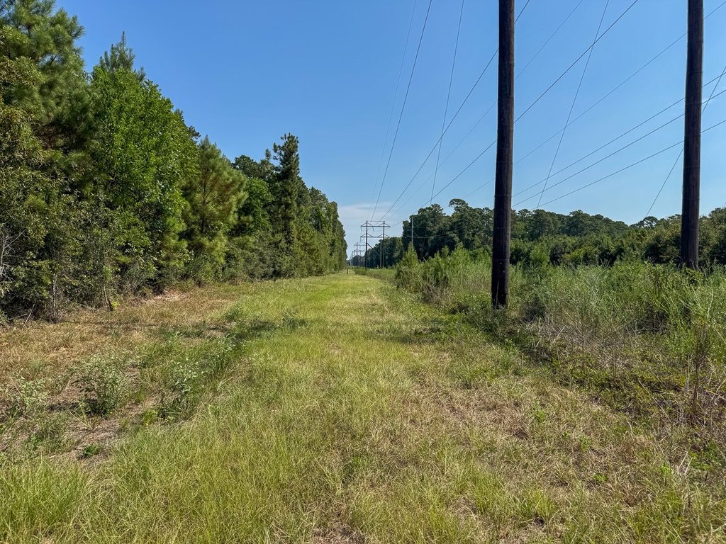 Picture 16