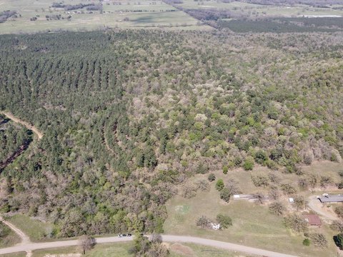 Bellville Timber Tract For Sale