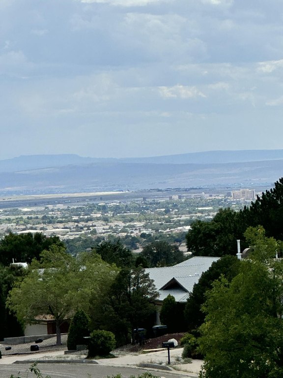 Picture 4