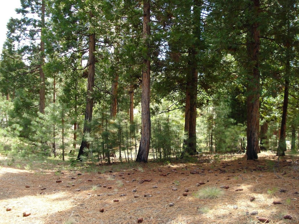 Picture 3