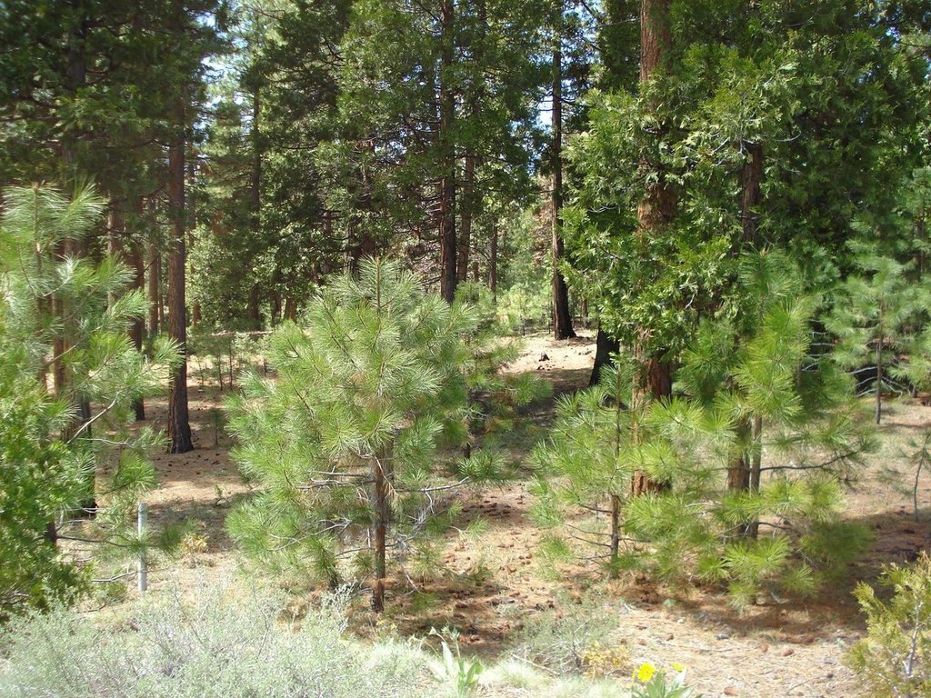 Picture 4