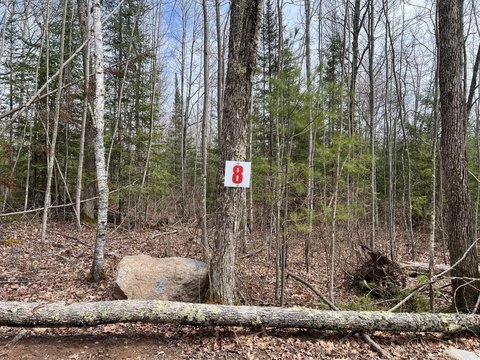 Eagle River Acreage for Development