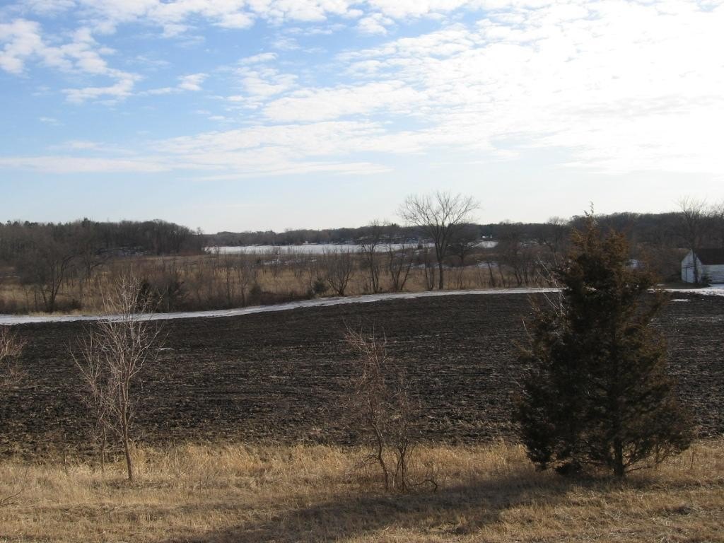 Picture 7