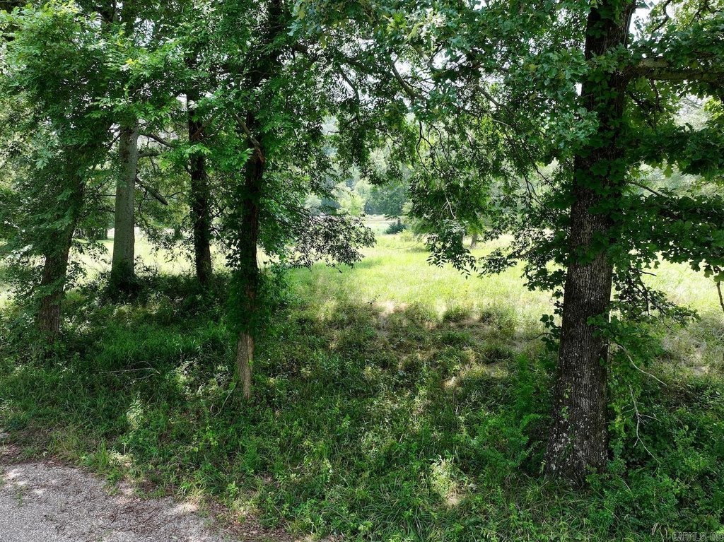 Picture 38