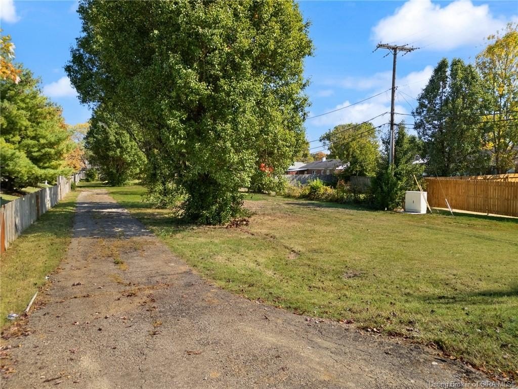 Picture 11