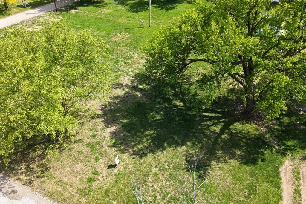 Picture 3