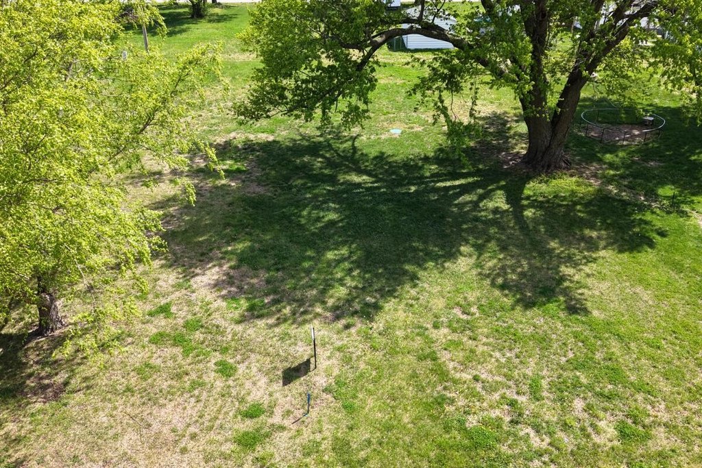 Picture 4
