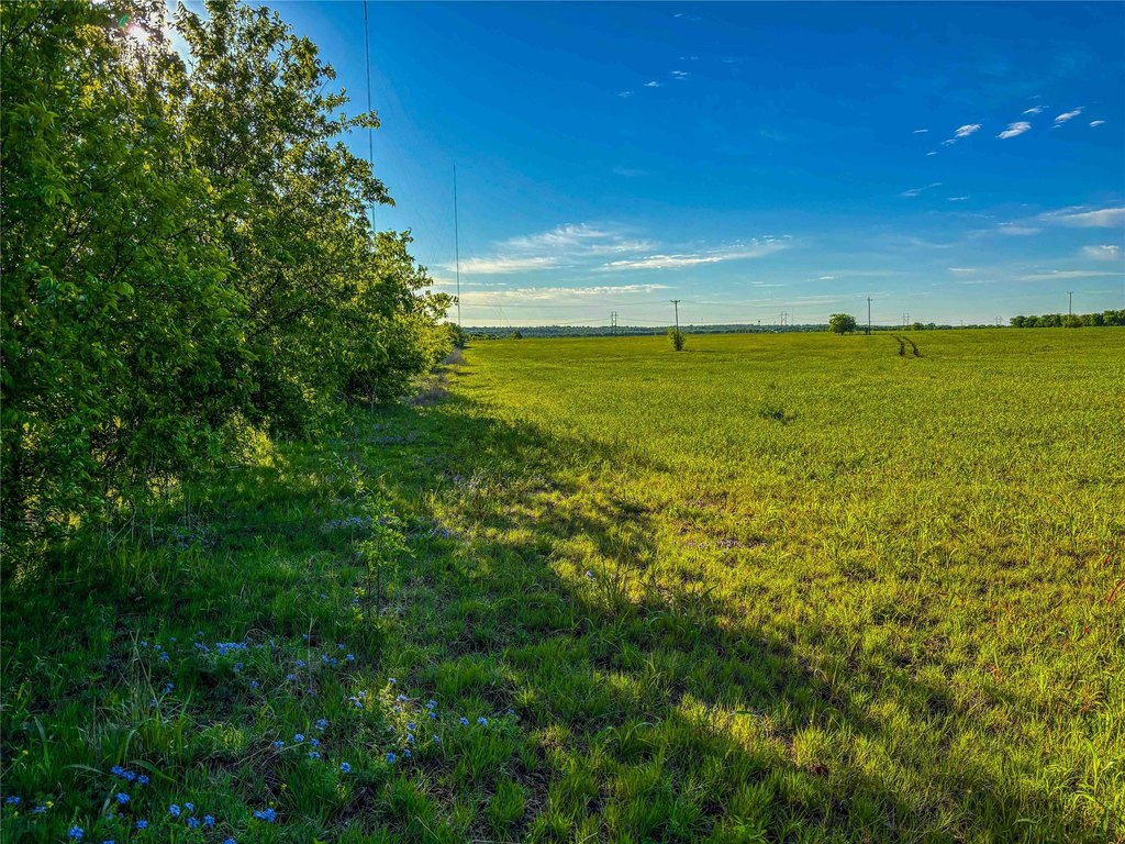 Picture 24