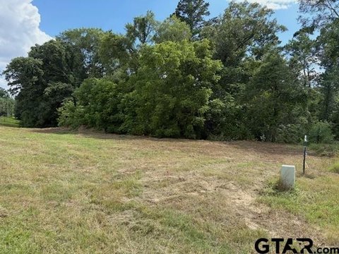 Land, Diana, TX