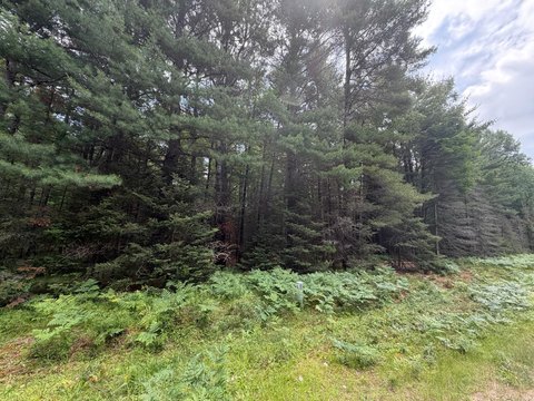 Land, Eagle River, WI