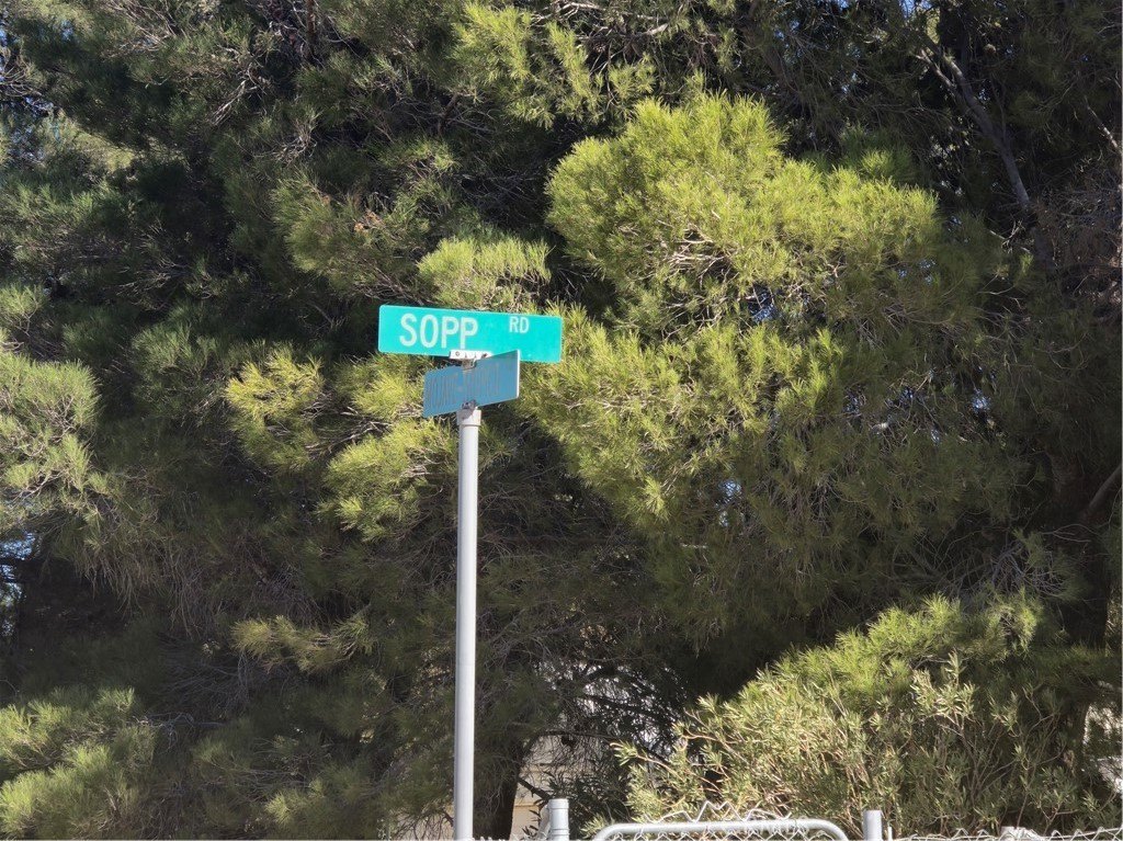 Picture 6