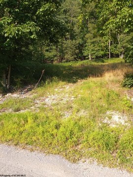 Residential Lot Near Buckhannon