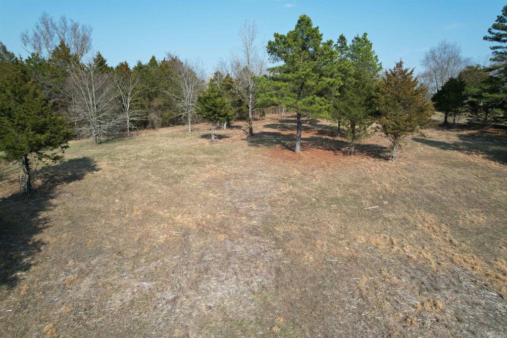 Picture 12