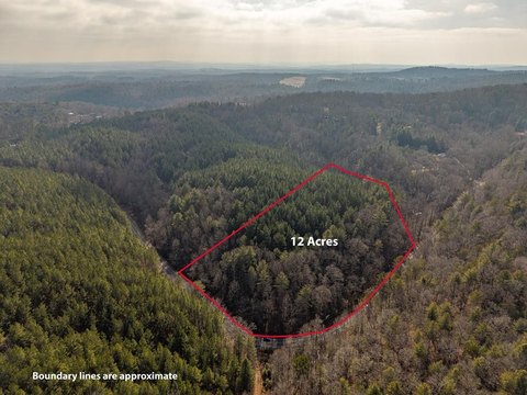 Ellijay, GA Vacant 12-Acre Lot