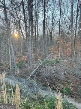 Gainesville Commercial Land For Sale