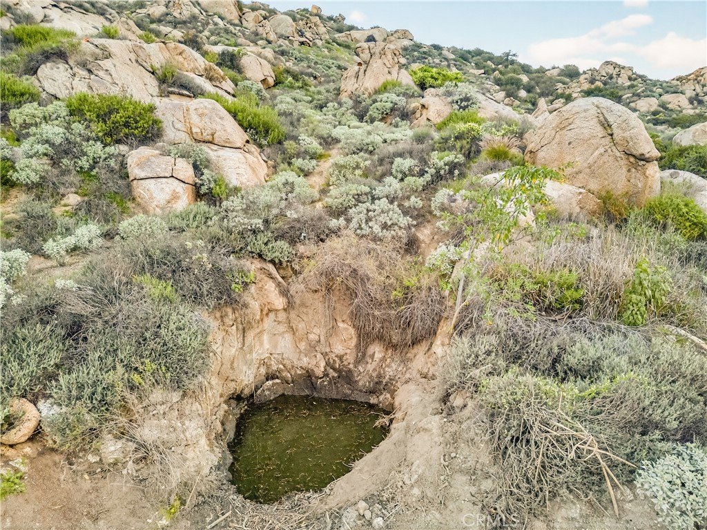 Picture 21