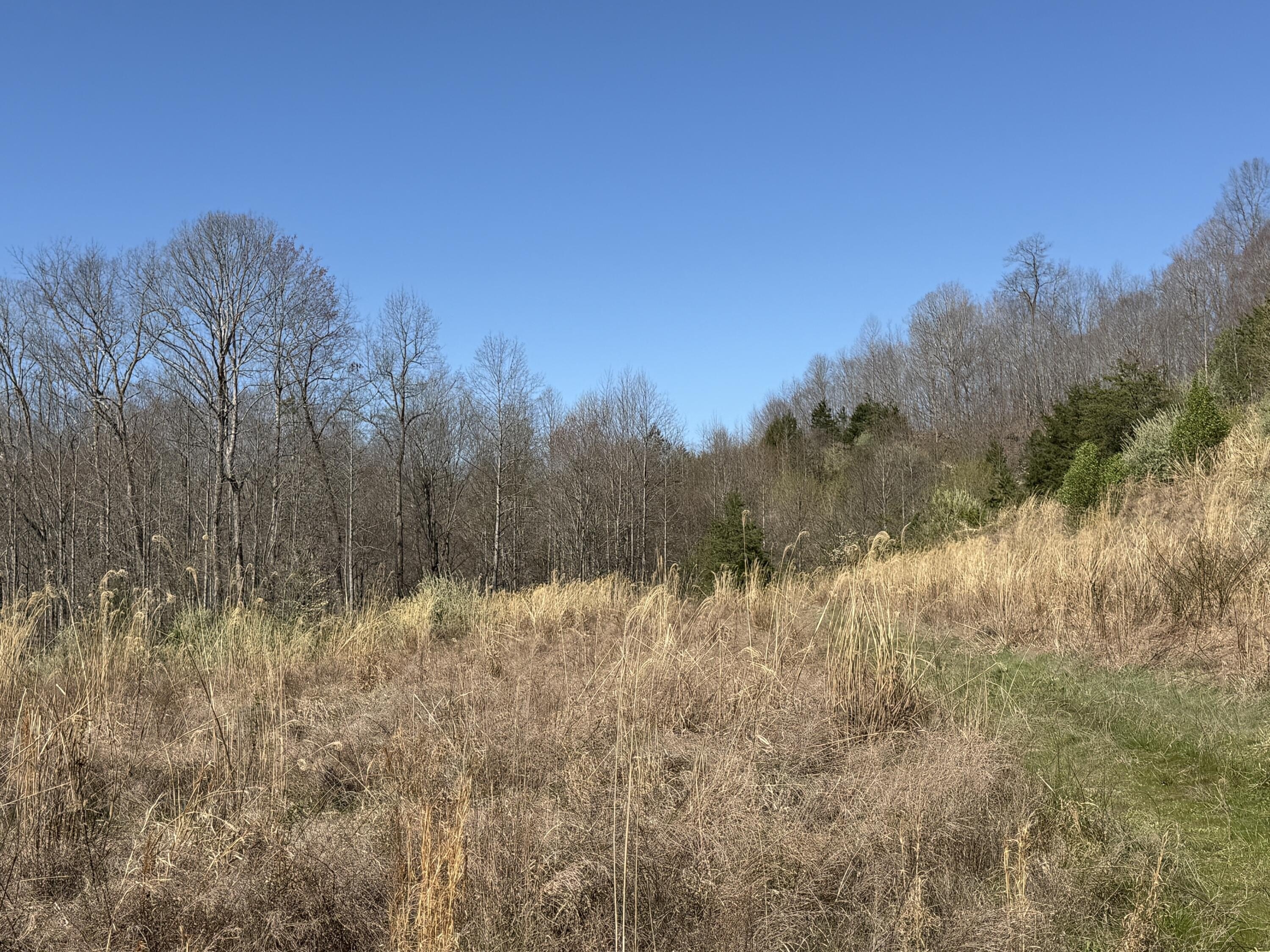 Land For Sale in Gray